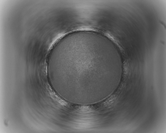 X0000102041408200807251403