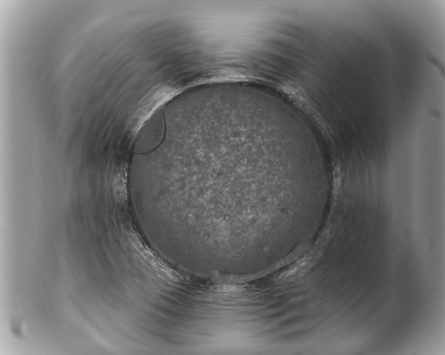 X0000102041409200807251403