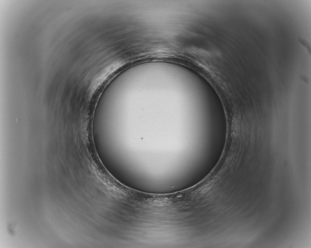 X0000102041410200807251403