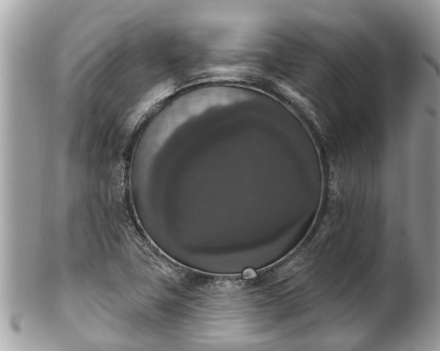 X0000102041411200807251403