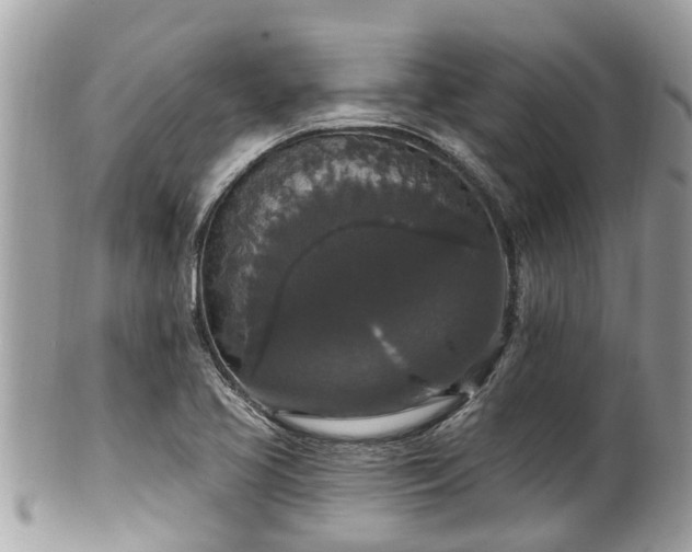 X0000102041413200807251403