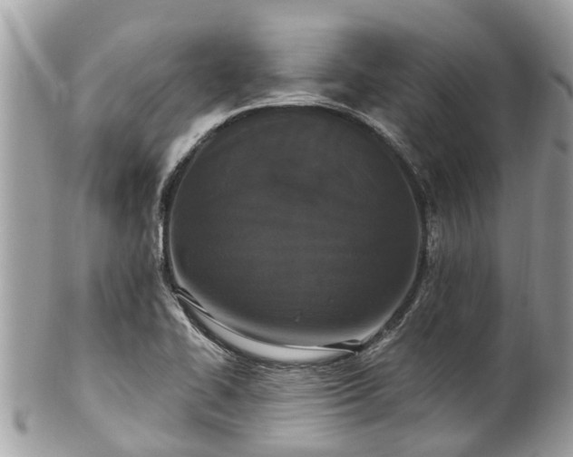 X0000102041414200807251403