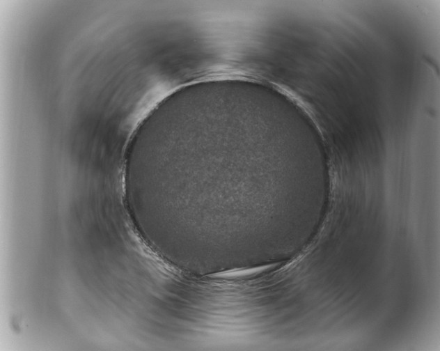 X0000102041415200807251403