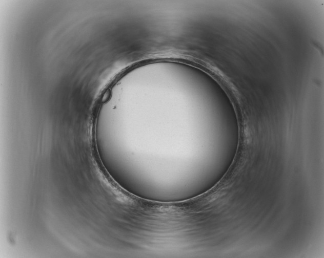 X0000102041416200807251403