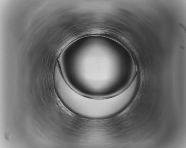 X0000102041417200807251403