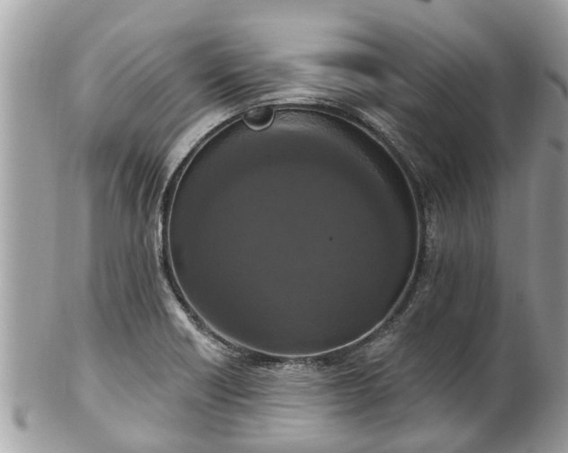 X0000102041418200807251403