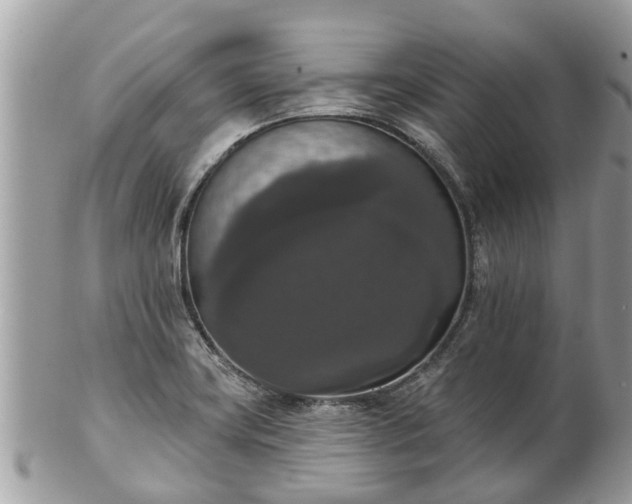 X0000102041419200807251403