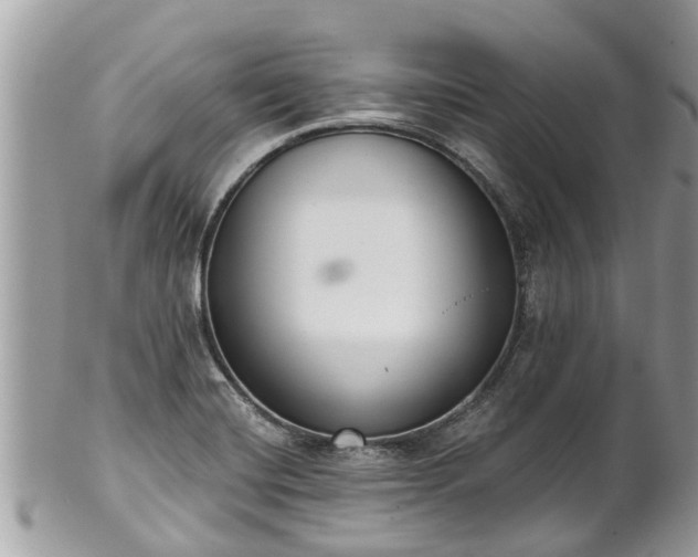 X0000102041420200807251403