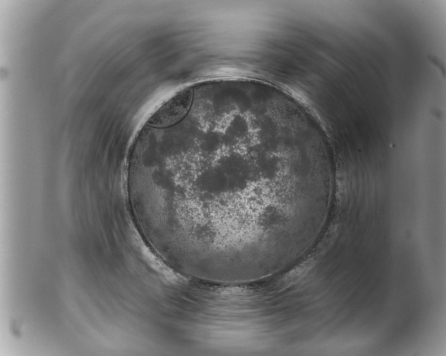 X0000102041421200807251403