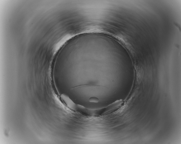 X0000102041422200807251403