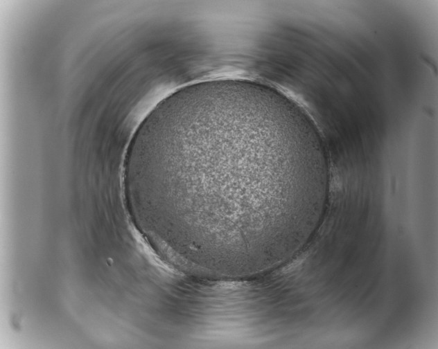 X0000102041423200807251403