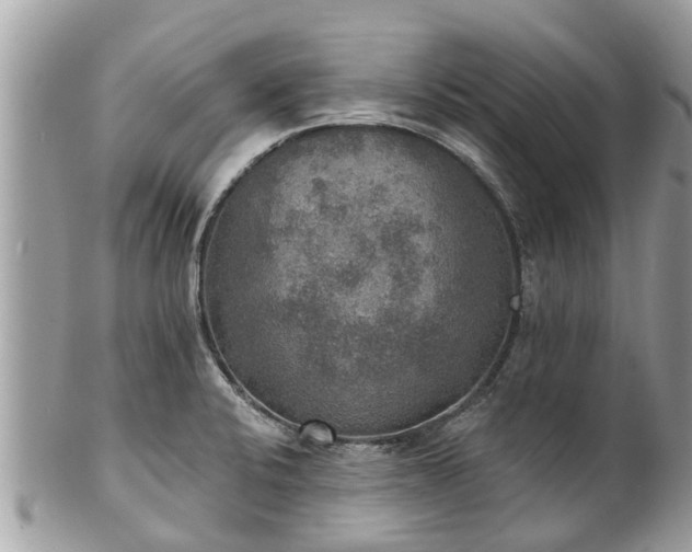 X0000102041424200807251403