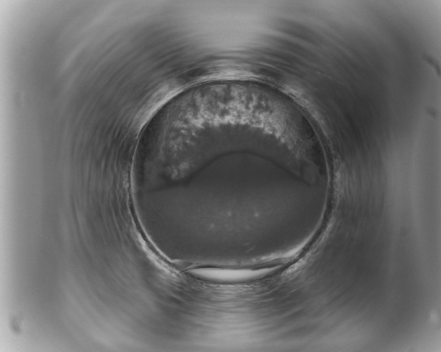 X0000102041425200807251403