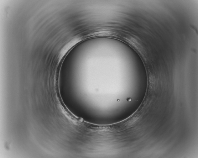 X0000102041426200807251404