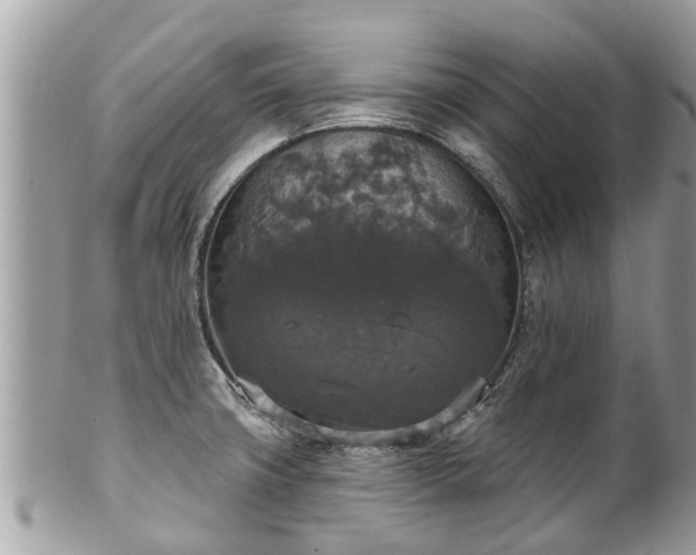 X0000102041427200807251404