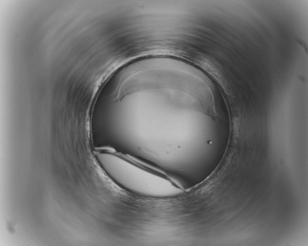 X0000102041428200807251404