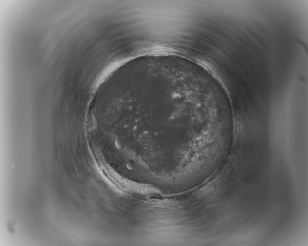 X0000102041429200807251404