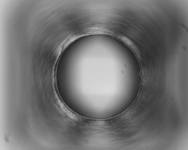 X0000102041431200807251404