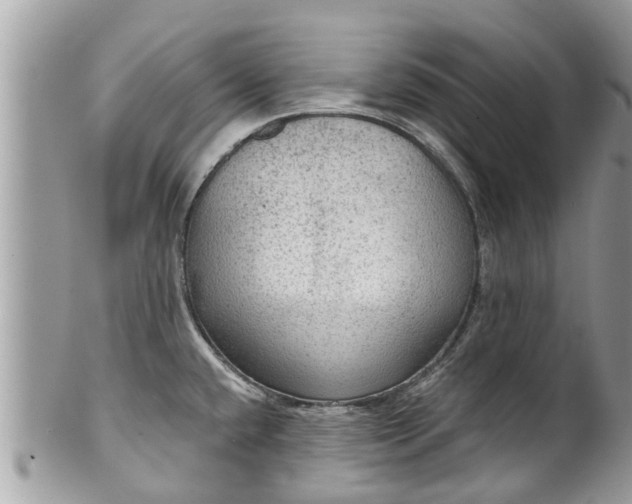 X0000102041432200807251404