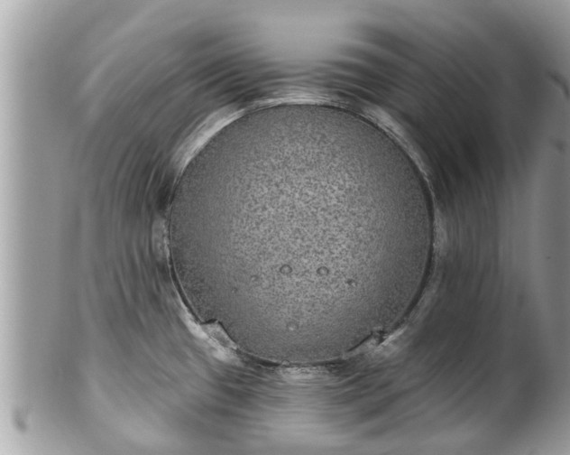 X0000102041433200807251404