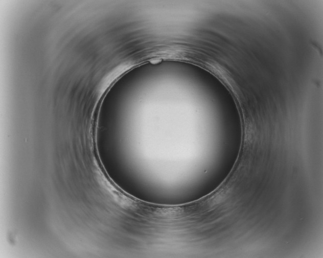 X0000102041434200807251404