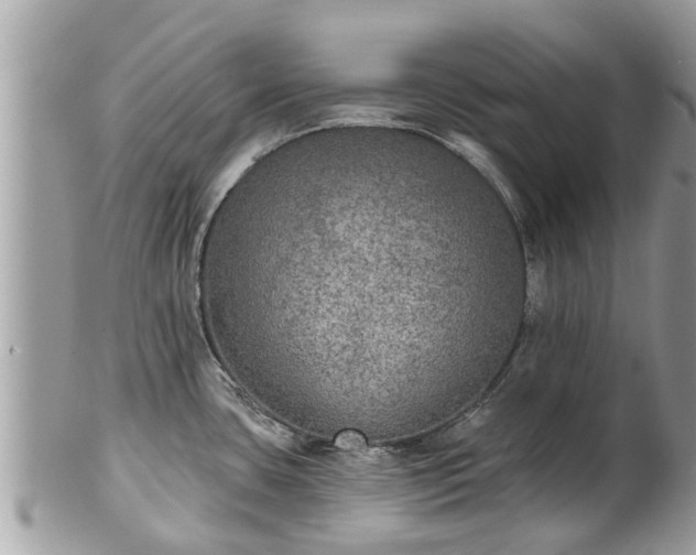 X0000102041435200807251404