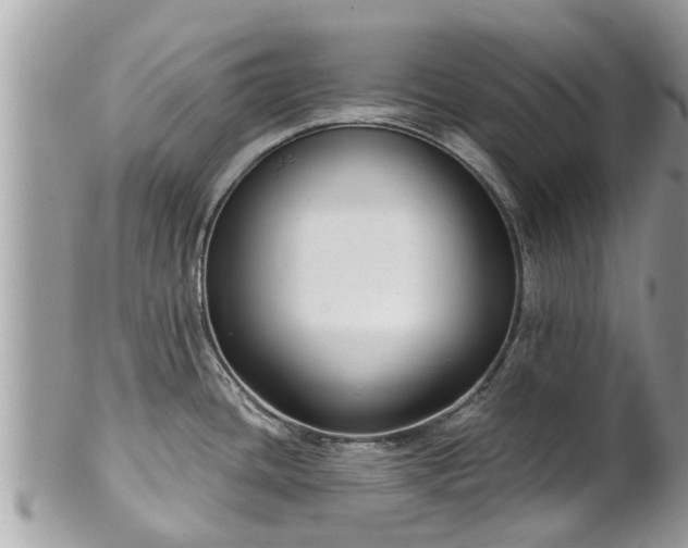 X0000102041436200807251404