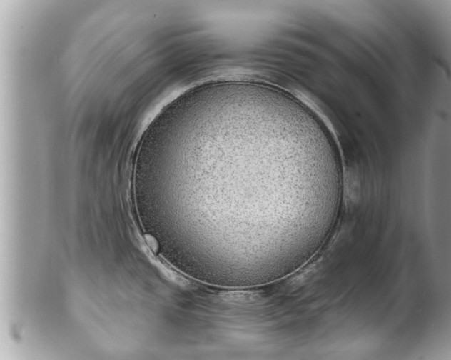 X0000102041437200807251404