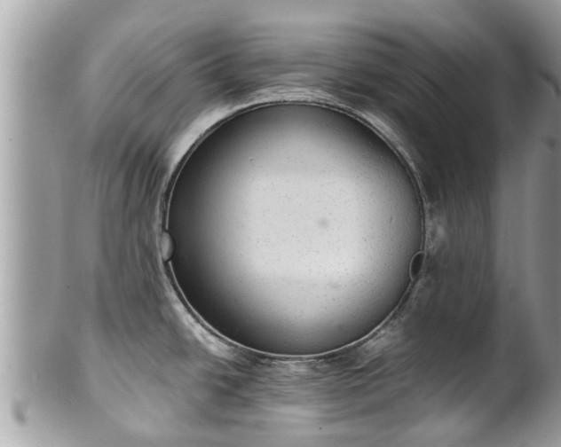 X0000102041438200807251404