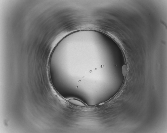 X0000102041440200807251404