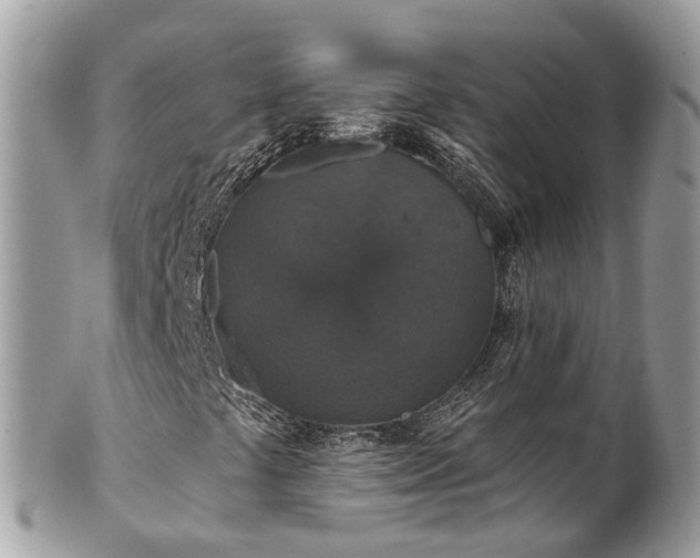 X0000102041441200807251403