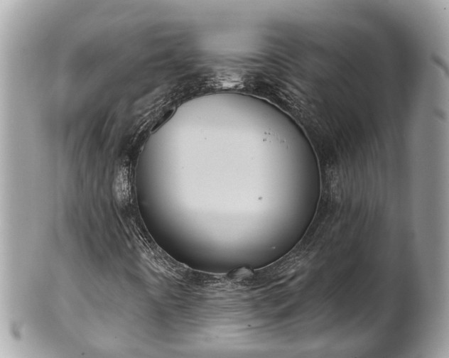 X0000102041442200807251403