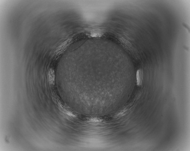 X0000102041443200807251403