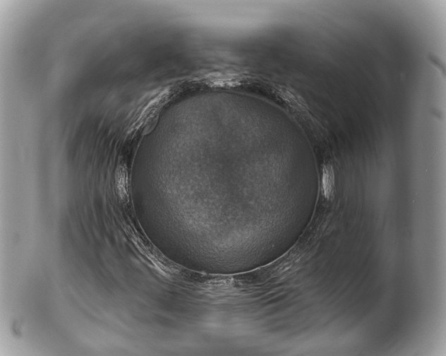 X0000102041444200807251403