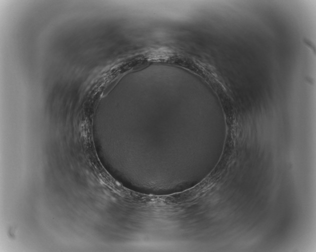 X0000102041445200807251403