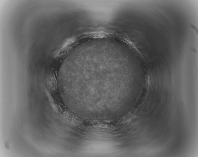 X0000102041446200807251403