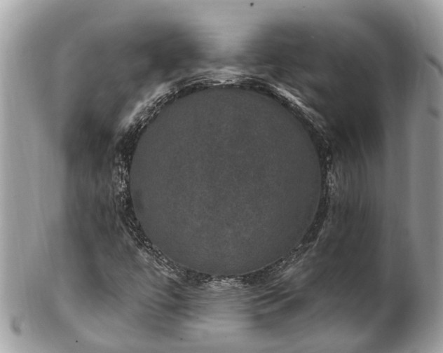 X0000102041447200807251403