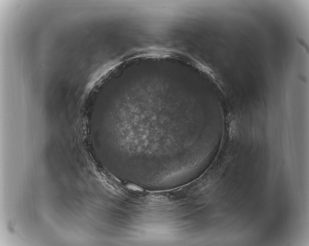 X0000102041448200807251403