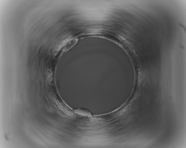 X0000102041449200807251403