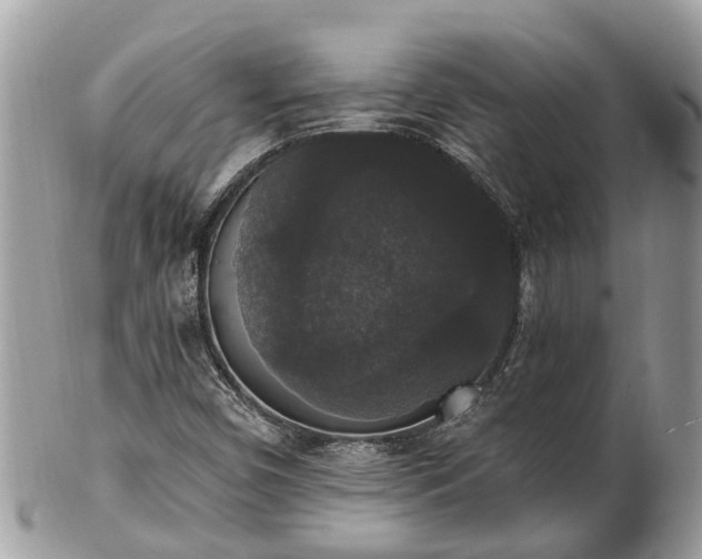 X0000102041450200807251403