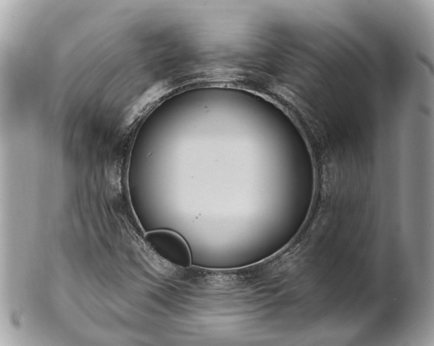 X0000102041451200807251403