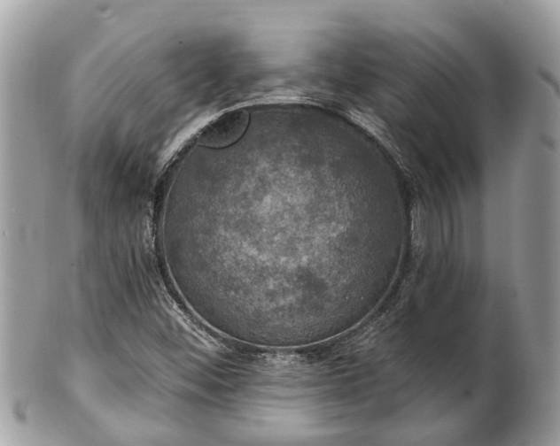 X0000102041452200807251403