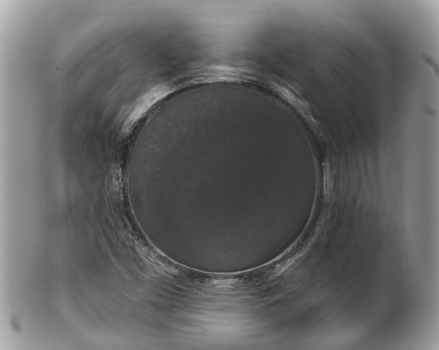 X0000102041453200807251403