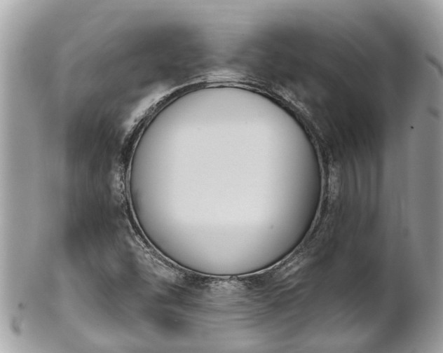 X0000102041454200807251403