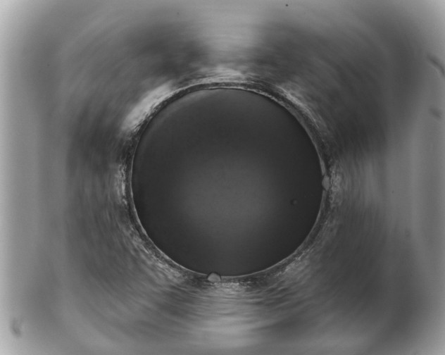 X0000102041455200807251403