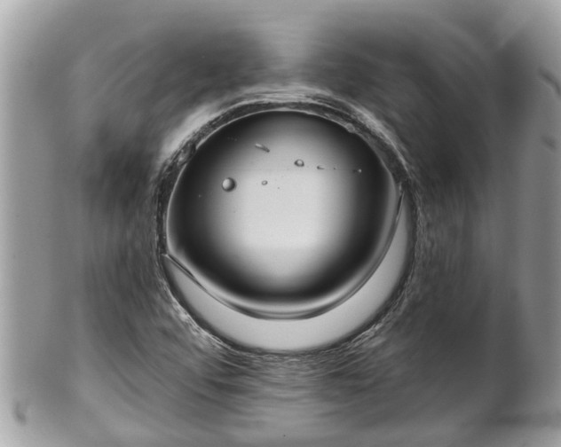 X0000102041456200807251403