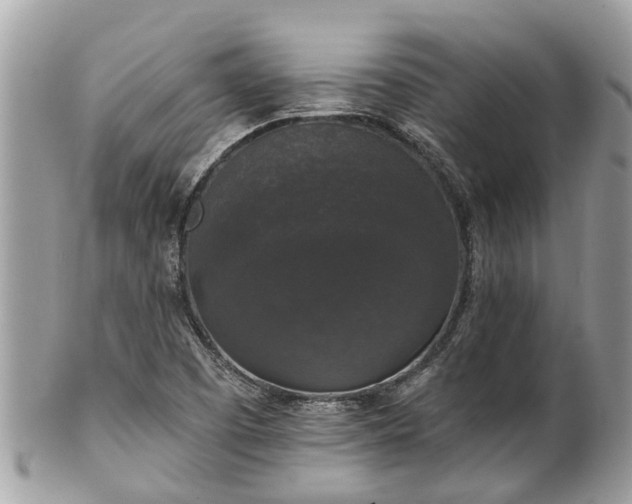 X0000102041457200807251403