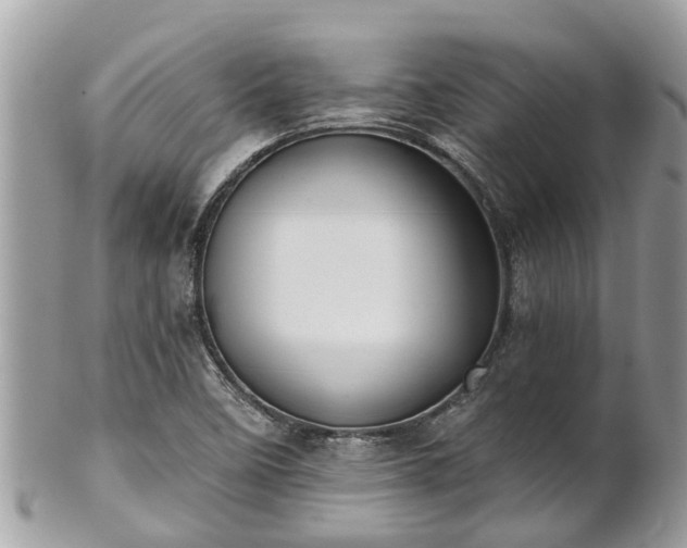 X0000102041458200807251403