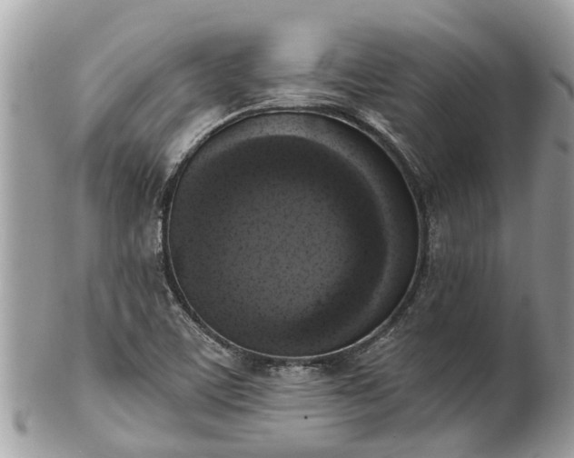 X0000102041459200807251403