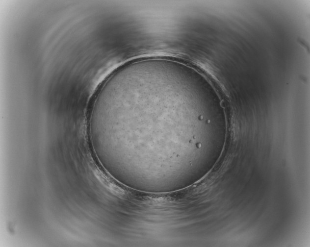 X0000102041460200807251403